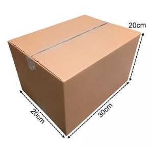 CAIXA DE PAPELÃO LISA MED.30X20X20